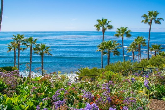 Is Laguna Beach a Good Vacation Destination for Winter